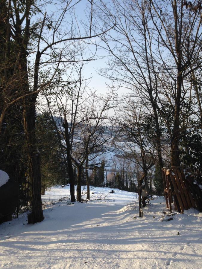 Villa 225 Bracciano  Экстерьер фото